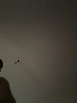 SEX TANRISII online show from September 11, 2025, 1:33 pm