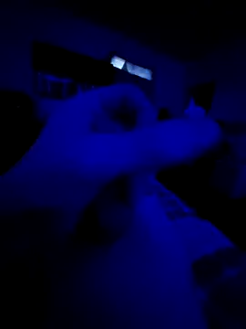 littlecockginger online show from February 4, 2026, 4:46 pm