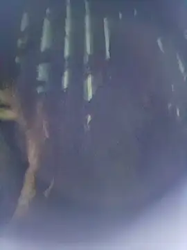 Snapshot of 8133vaibhavh chatting on October 9, 2025, 2:50 pm 8133vaibhavh online show from October 9, 2025, 2:50 pm