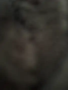 Snapshot of Immerhartundgeil chatting on May 9, 2026, 6:17 am Immerhartundgeil online show from May 9, 2026, 6:17 am