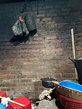 Snapshot of kemtuoi-sex chatting on October 8, 2025, 1:01 pm kemtuoi-sex online show from October 8, 2025, 1:01 pm