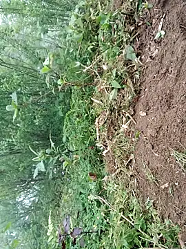 kemtuoi-sex online show from April 19, 2026, 9:43 am