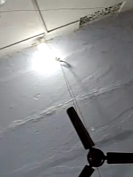 Snapshot of Famit025 chatting on March 24, 2026, 4:29 pm Famit025 online show from March 24, 2026, 4:29 pm