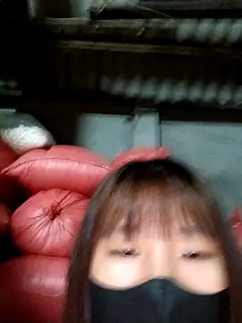 Snapshot of kata-00 chatting on October 9, 2025, 12:17 pm kata-00 online show from October 9, 2025, 12:17 pm