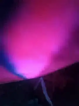 Chanderi19 online show from December 13, 2025, 8:04 pm