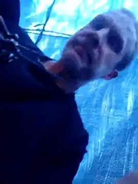 Snapshot of Mrdano0000 chatting on March 27, 2026, 5:36 pm Mrdano0000 online show from March 27, 2026, 5:36 pm