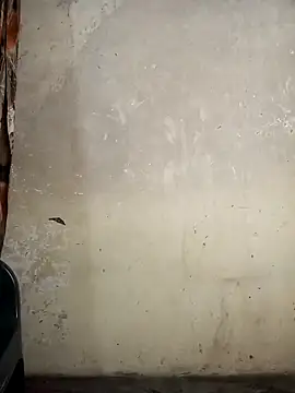 Snapshot of Gracie_Stella chatting on October 11, 2025, 6:36 am Gracie Stella online show from October 11, 2025, 6:36 am