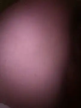 LatinGordis online show from December 17, 2025, 3:44 am