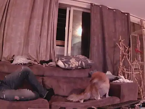 Snapshot of Alexis21821 chatting on November 6, 2025, 11:20 pm Alexis21821 online show from November 6, 2025, 11:20 pm