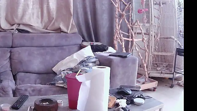 Snapshot of Alexis21821 chatting on November 14, 2025, 10:52 am Alexis21821 online show from November 14, 2025, 10:52 am