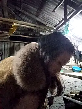 bonnie-00 online show from November 14, 2025, 10:46 pm