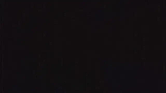 SienaWild online show from December 23, 2025, 3:17 am