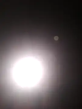 Cachorrinha2025 online show from October 22, 2025, 5:45 pm