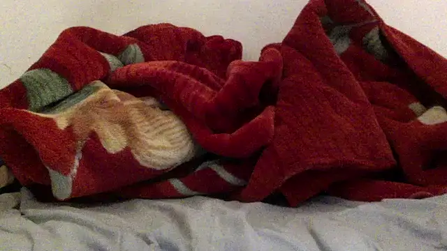 Snapshot of Kwasi-a chatting on March 29, 2026, 4:08 pm Kwasi-a online show from March 29, 2026, 4:08 pm