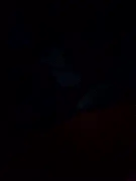 Jarektchurzewski online show from February 13, 2026, 12:32 am