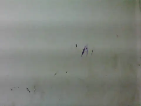 Snapshot of sweet_bella16 chatting on January 16, 2026, 5:33 am sweet bella16 online show from January 16, 2026, 5:33 am