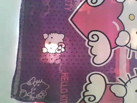 Snapshot of asian_bhebs1 chatting on October 28, 2025, 2:45 am asian bhebs1 online show from October 28, 2025, 2:45 am