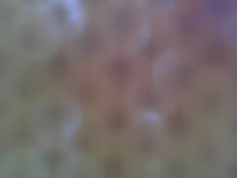 asian bhebs1 online show from September 21, 2025, 10:59 pm