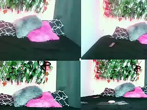 Snapshot of MR777DESIRE chatting on October 4, 2025, 5:20 am MR777DESIRE online show from October 4, 2025, 5:20 am