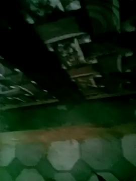 Snapshot of ramulove124 chatting on November 12, 2025, 2:48 am ramulove124 online show from November 12, 2025, 2:48 am