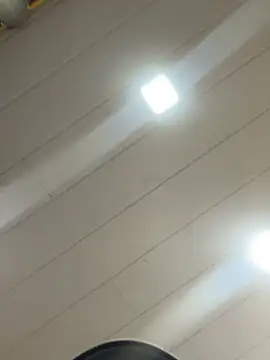 Snapshot of Noamilk chatting on February 13, 2026, 8:31 pm Noamilk online show from February 13, 2026, 8:31 pm