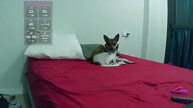 Snapshot of Catylandi1 chatting on November 14, 2025, 10:35 pm Catylandi1 online show from November 14, 2025, 10:35 pm