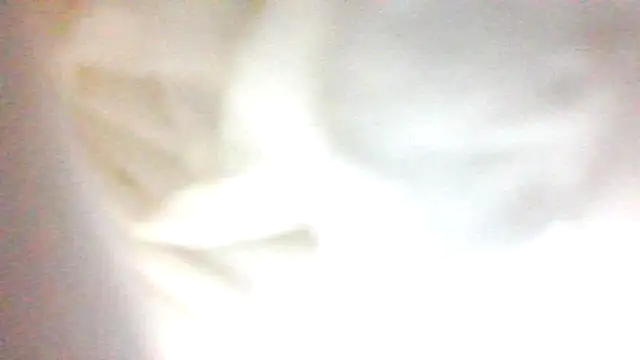 Argo1972 online show from October 22, 2025, 4:12 am