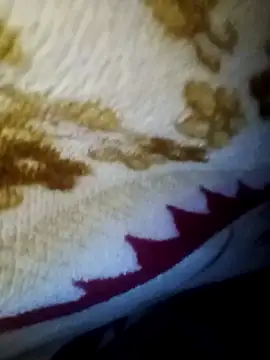 alone boy802 online show from November 27, 2025, 6:41 pm