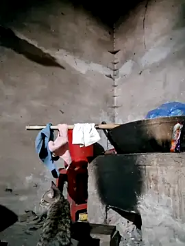 xuxulovezz online show from February 12, 2026, 4:45 am