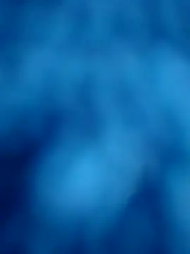 SALCEDO 041198 online show from November 3, 2025, 3:37 pm