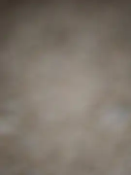 SALCEDO 041198 online show from November 5, 2025, 11:35 am