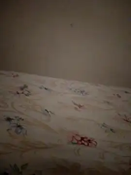 SALCEDO 041198 online show from November 20, 2025, 11:33 am