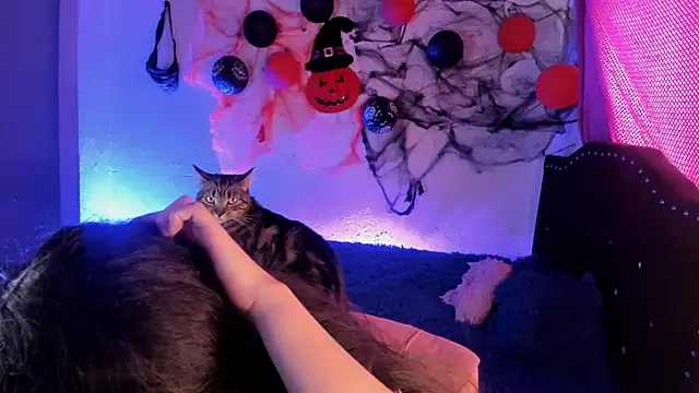 Snapshot of kitty__chs chatting on November 1, 2025, 5:29 pm kitty chs online show from November 1, 2025, 5:29 pm