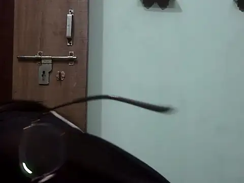 Snapshot of Lusty_Shreya_ chatting on November 22, 2025, 5:17 am Lusty Shreya online show from November 22, 2025, 5:17 am