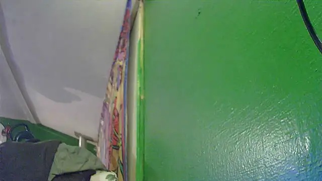 Snapshot of HippieDad333 chatting on November 11, 2025, 3:12 am HippieDad333 online show from November 11, 2025, 3:12 am