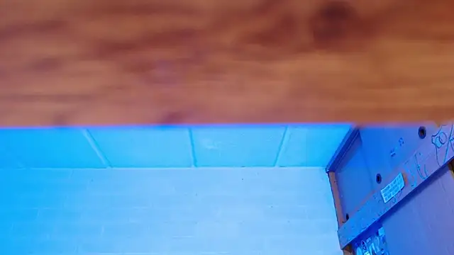 Snapshot of Amy66 chatting on December 3, 2025, 7:41 am Amy66 online show from December 3, 2025, 7:41 am