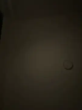 Capricho 01 online show from January 13, 2026, 12:25 am