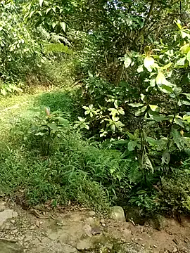 nhinhi-sexy online show from October 10, 2025, 5:52 am