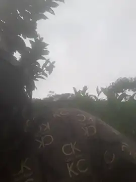 Snapshot of bree-zz chatting on November 13, 2025, 12:47 am bree-zz online show from November 13, 2025, 12:47 am