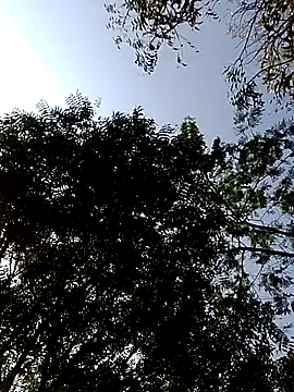 Rs sonam online show from February 14, 2026, 3:51 am