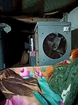 Snapshot of Lona2525 chatting on February 16, 2026, 8:40 pm Lona2525 online show from February 16, 2026, 8:40 pm