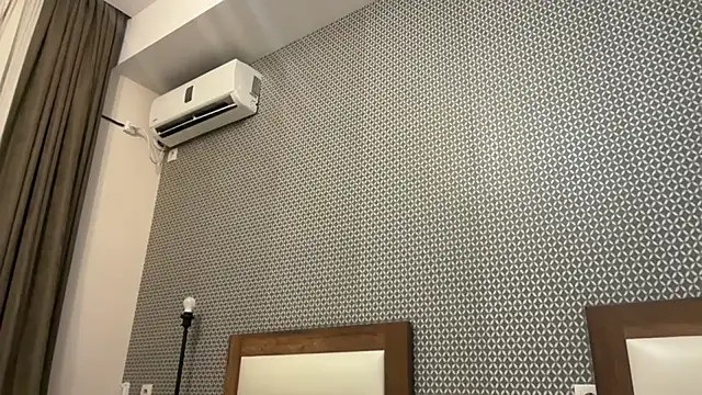 realrockybee1 online show from November 20, 2025, 10:52 pm