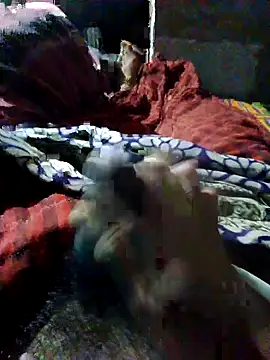 nagepalli online show from October 22, 2025, 5:01 pm