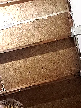 Snapshot of Queen2454 chatting on March 6, 2026, 9:37 am Queen2454 online show from March 6, 2026, 9:37 am