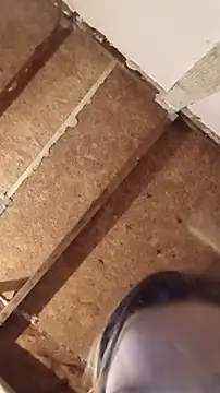 Snapshot of Queen2454 chatting on March 8, 2026, 12:41 pm Queen2454 online show from March 8, 2026, 12:41 pm