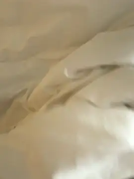 HenryLee1983-cums online show from November 28, 2025, 12:44 am