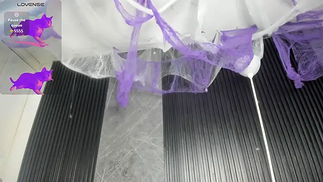 Snapshot of cloemorningstar chatting on October 31, 2025, 2:46 pm cloemorningstar online show from October 31, 2025, 2:46 pm