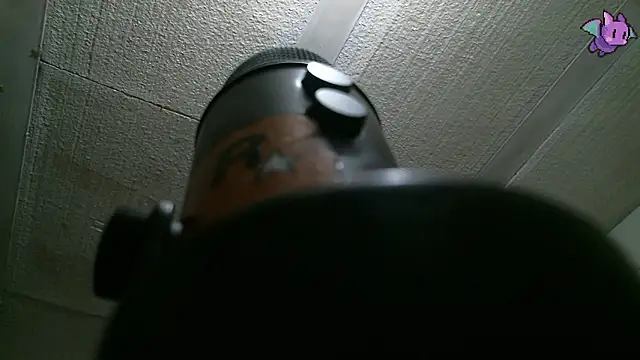 Dickie Dicking online show from February 11, 2026, 10:09 pm