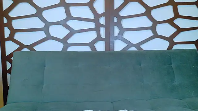 Snapshot of ashley_jonee chatting on December 14, 2025, 1:17 pm ashley jonee online show from December 14, 2025, 1:17 pm