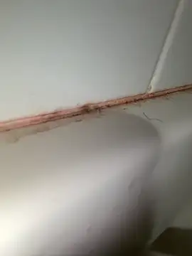 Snapshot of StroknGoon69 chatting on November 4, 2025, 11:52 pm StroknGoon69 online show from November 4, 2025, 11:52 pm